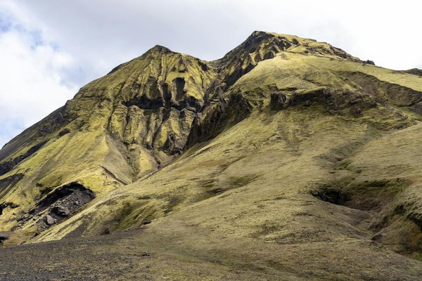 Comment diminuer sa consommation de mauvais gras et augmenter les bons